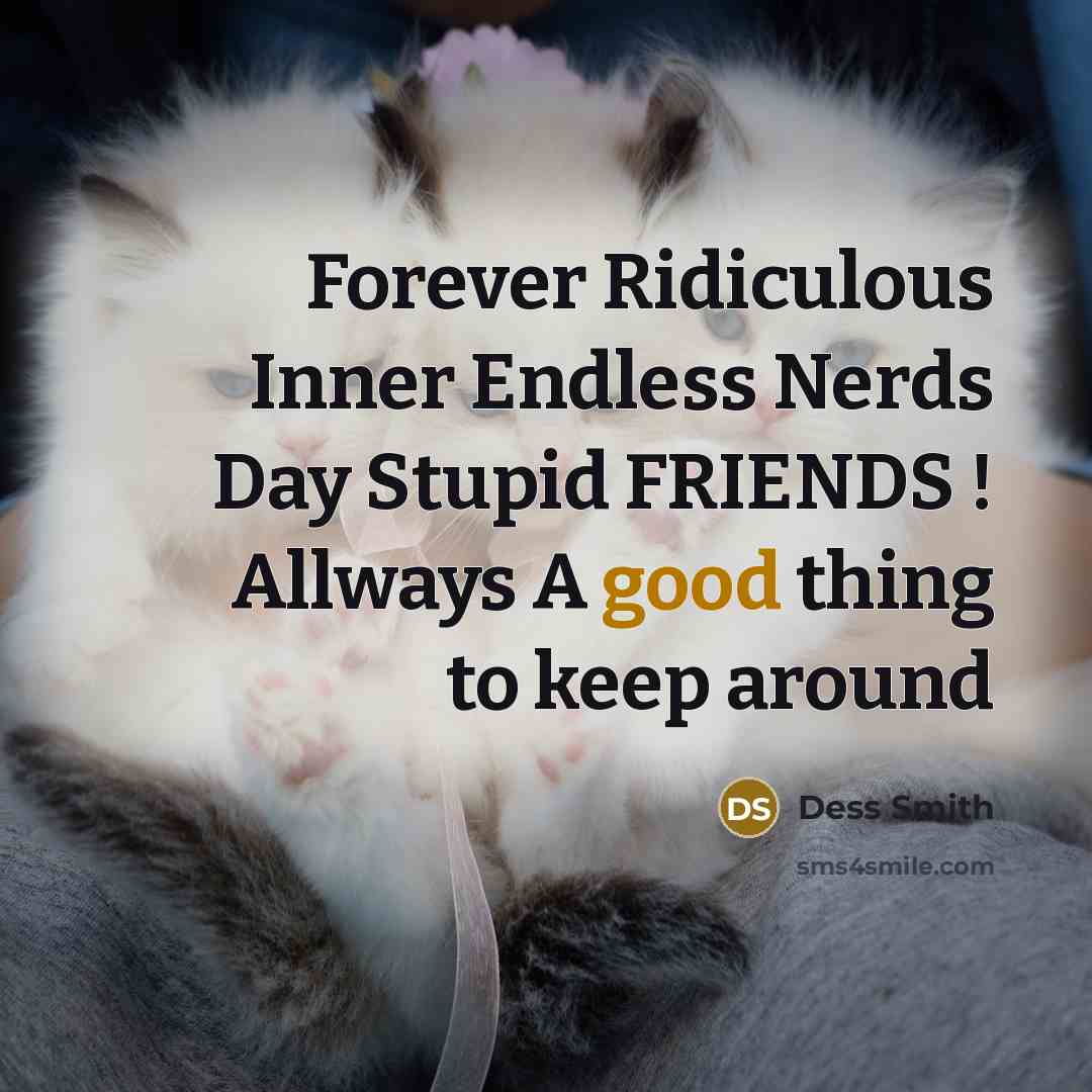 “Forever Ridiculous Inner Endless Nerds Day Stupid FRIENDS ! Allways…” quote by Dess SMith
