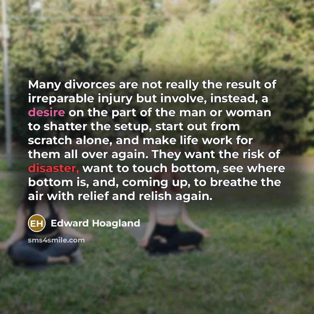 “Many divorces are not really the result of irreparable injury…” quote by Edward Hoagland