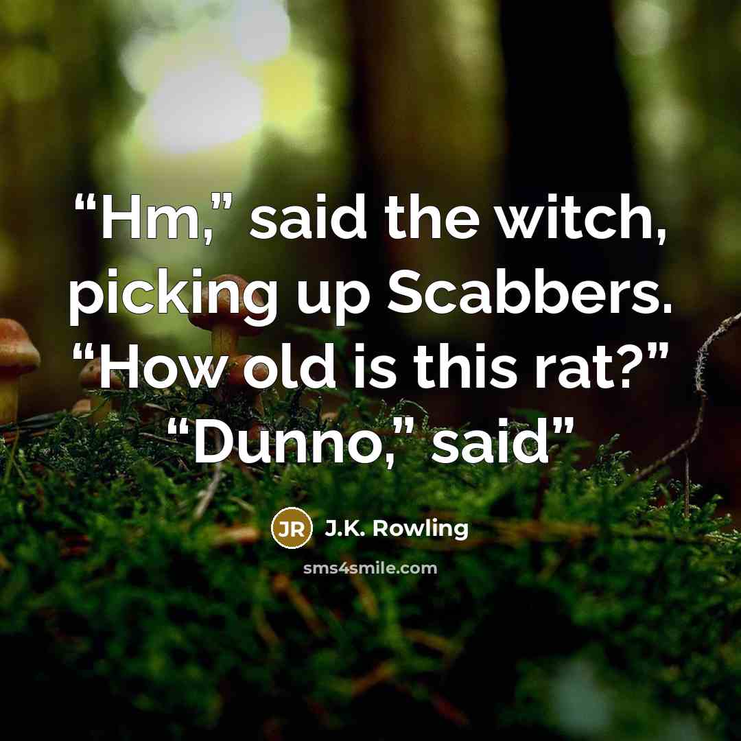 “Hm,” said the witch, picking up Scabbers. “How old is this rat?” “Dunno,” said” quote by J.K. Rowling