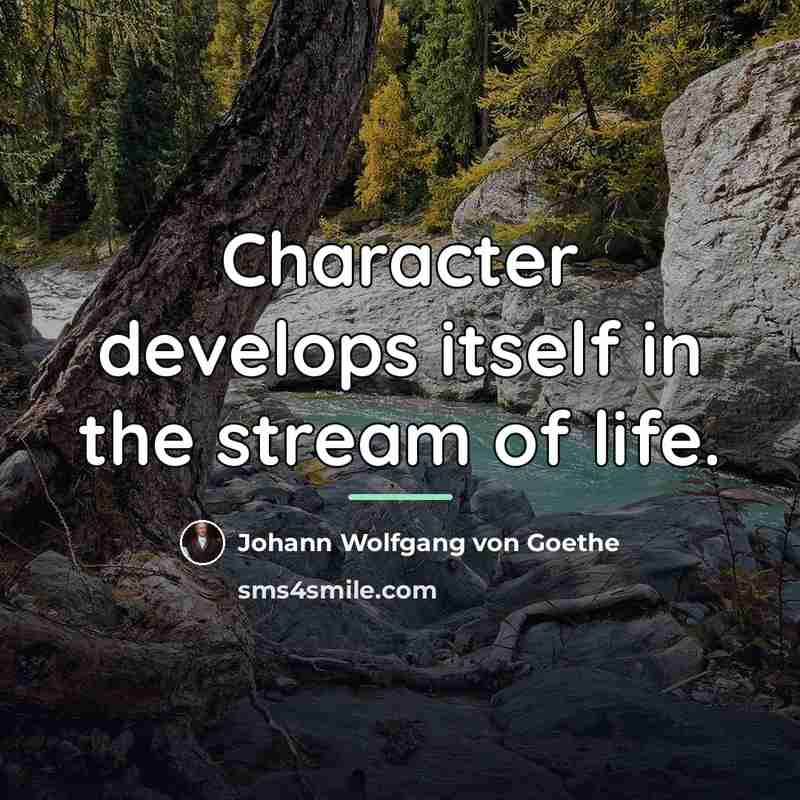 “Character develops itself in the stream of life.…” quote by Johann Wolfgang von Goethe