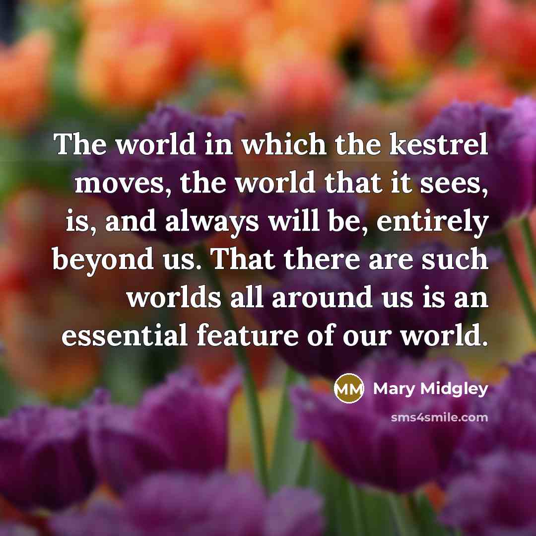 “The world in which the kestrel moves, the world that…” quote by Mary Midgley