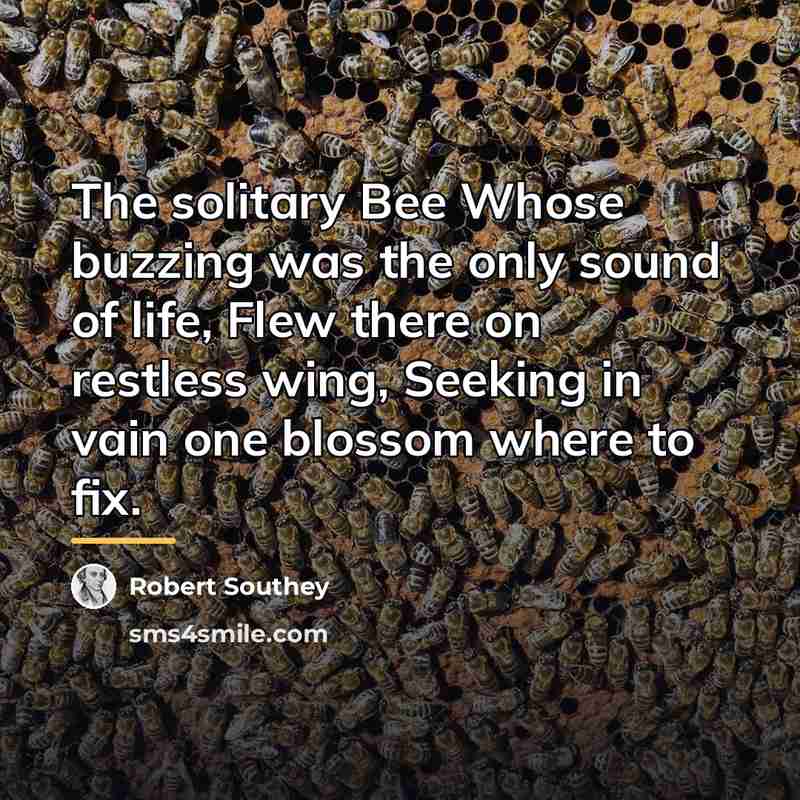 “The solitary Bee Whose buzzing was the only sound of…” quote by Robert Southey