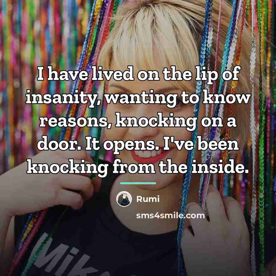 “I have lived on the lip of insanity, wanting to…” quote by Rumi