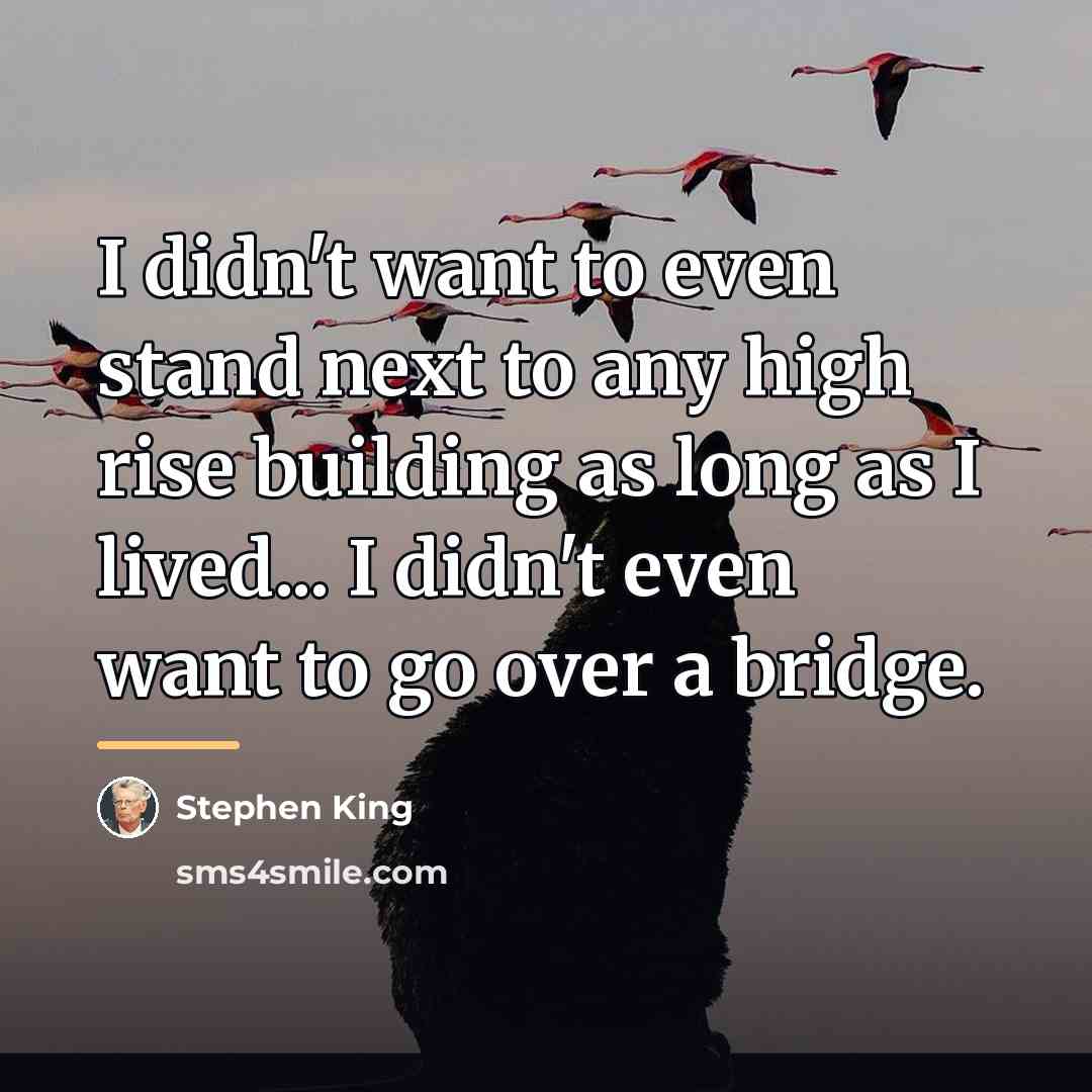 “I didn't want to even stand next to any high…” quote by Stephen King
