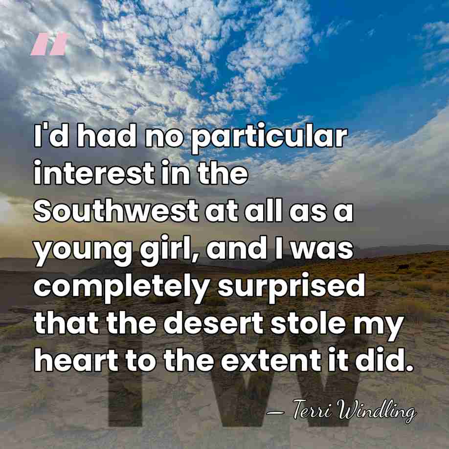 I'd had no particular interest in the Southwest at all as a&hellip; - Terri Windling