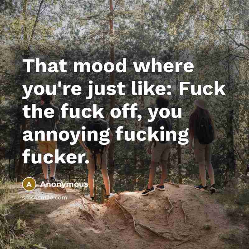 “That mood where you're just like: Fuck the fuck off,…” quote by Anonymous
