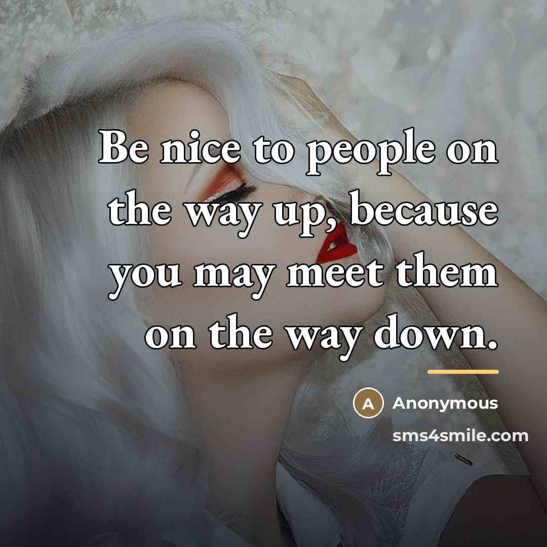 “Be nice to people on the way up, because you…” quote by Anonymous