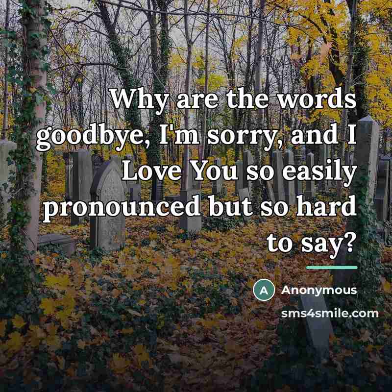 “Why are the words goodbye, I'm sorry, and I Love…” quote by Anonymous