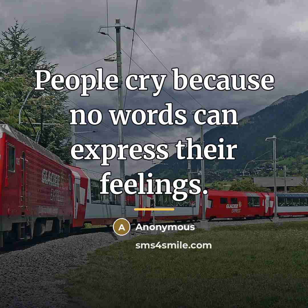 “People cry because no words can express their feelings.…” quote by Anonymous