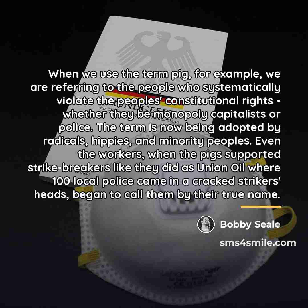 “When we use the term pig, for example, we are…” quote by Bobby Seale