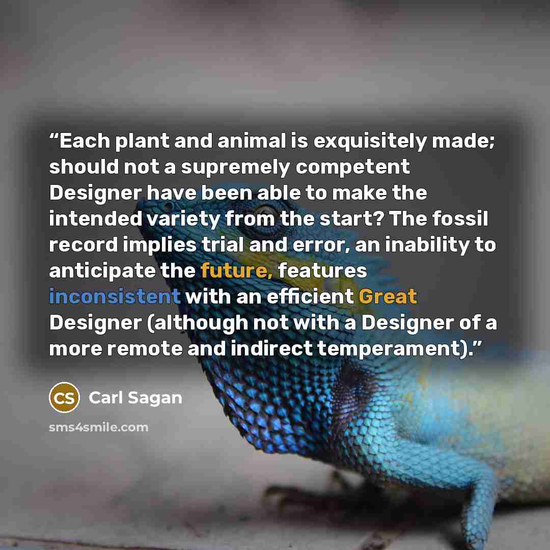 “Each plant and animal is exquisitely made; should not a supremely competent Designer have been able to make the intended variety from the start? The fossil record implies trial and error, an inability to anticipate the future, features inconsistent with an efficient Great Designer (although not…” quote by Carl Sagan
