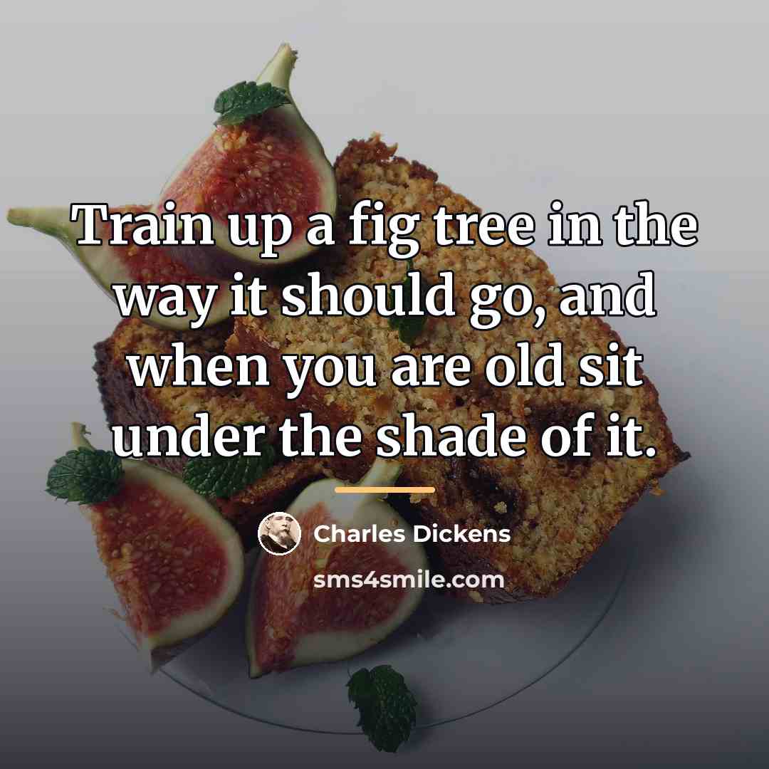 “Train up a fig tree in the way it should…” quote by Charles Dickens