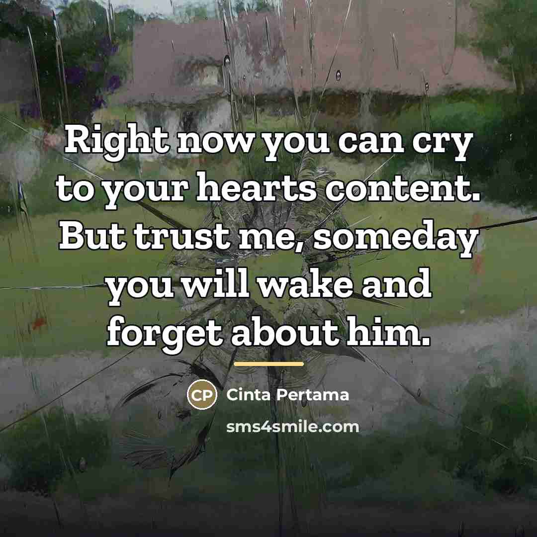 “Right now you can cry to your hearts content. But…” quote by Cinta Pertama