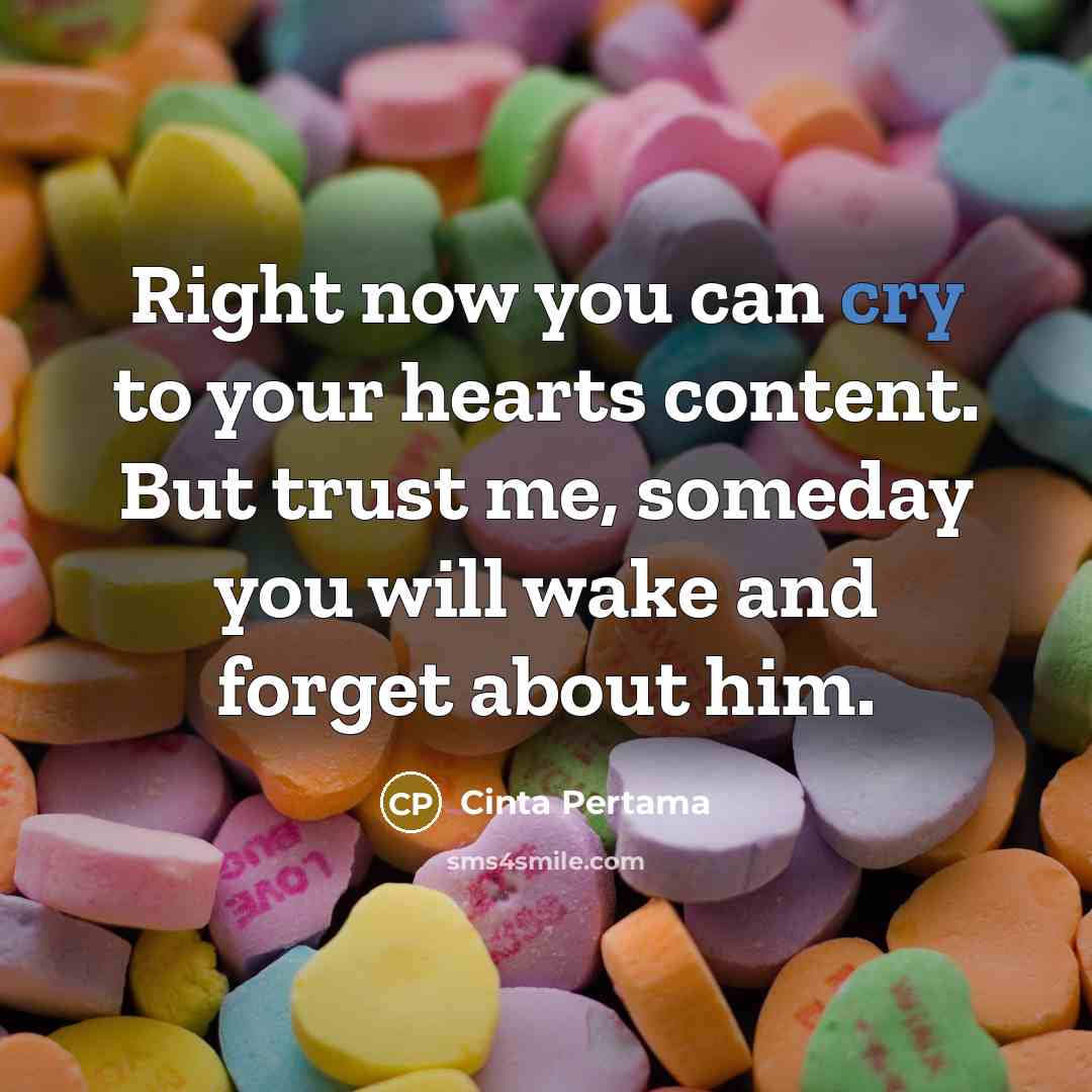 “Right now you can cry to your hearts content. But trust me, someday you will wake and forget about him.” quote by Cinta Pertama