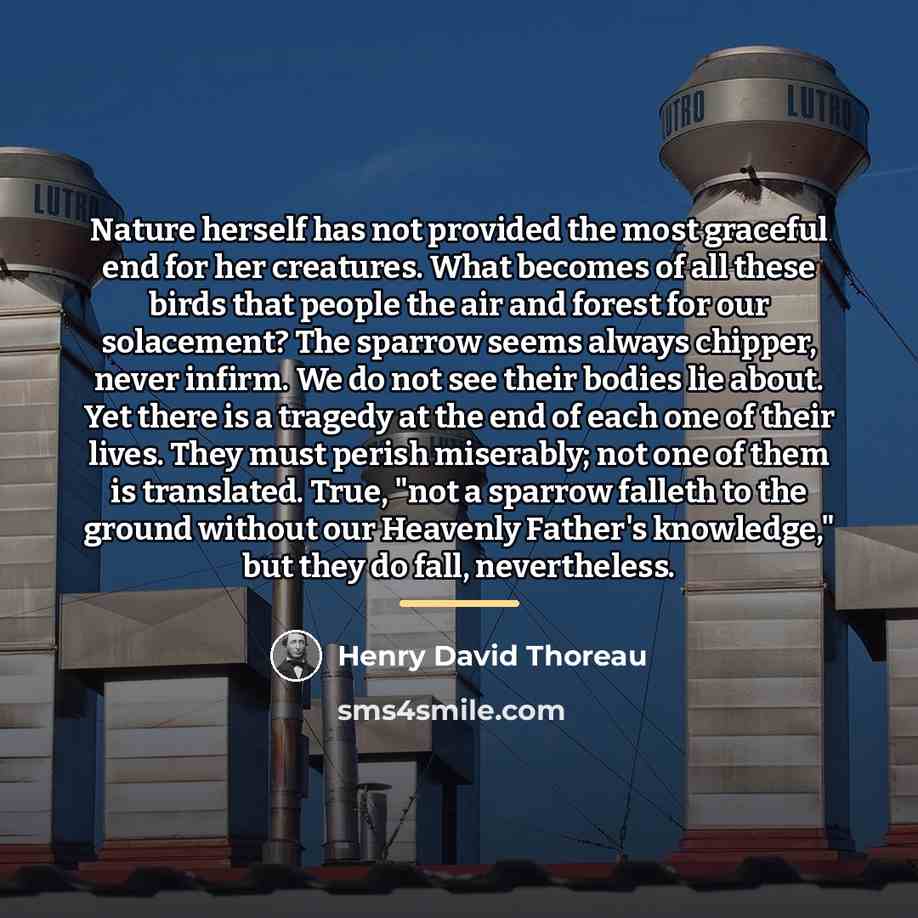 “Nature herself has not provided the most graceful end for…” quote by Henry David Thoreau