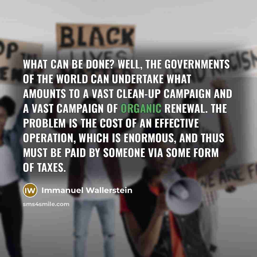 “What can be done? Well, the governments of the world…” quote by Immanuel Wallerstein