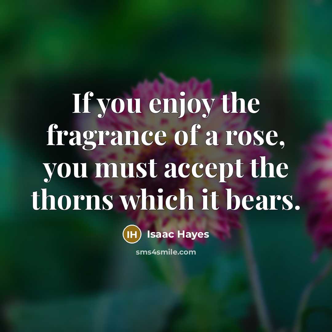 “If you enjoy the fragrance of a rose, you must…” quote by Isaac Hayes