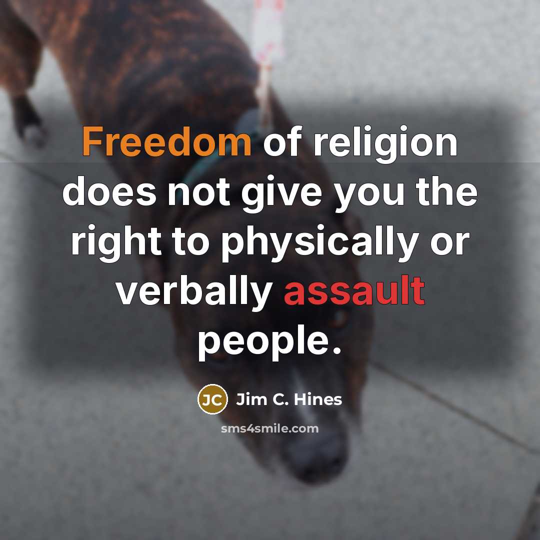 “Freedom of religion does not give you the right to…” quote by Jim C. Hines