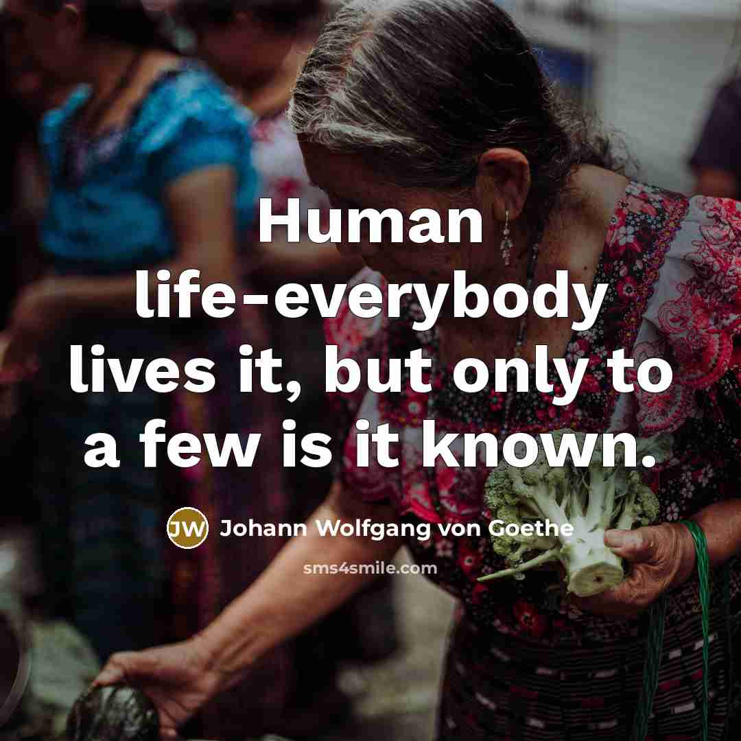 “Human life-everybody lives it, but only to a few is…” quote by Johann Wolfgang von Goethe