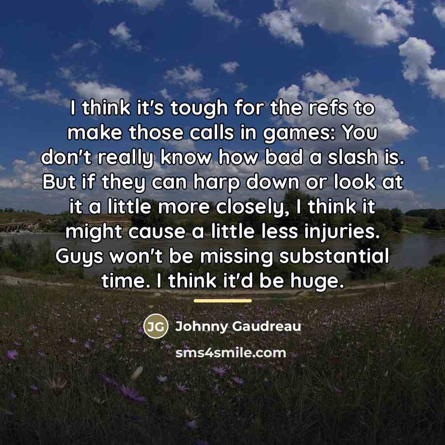 “I think it's tough for the refs to make those…” quote by Johnny Gaudreau