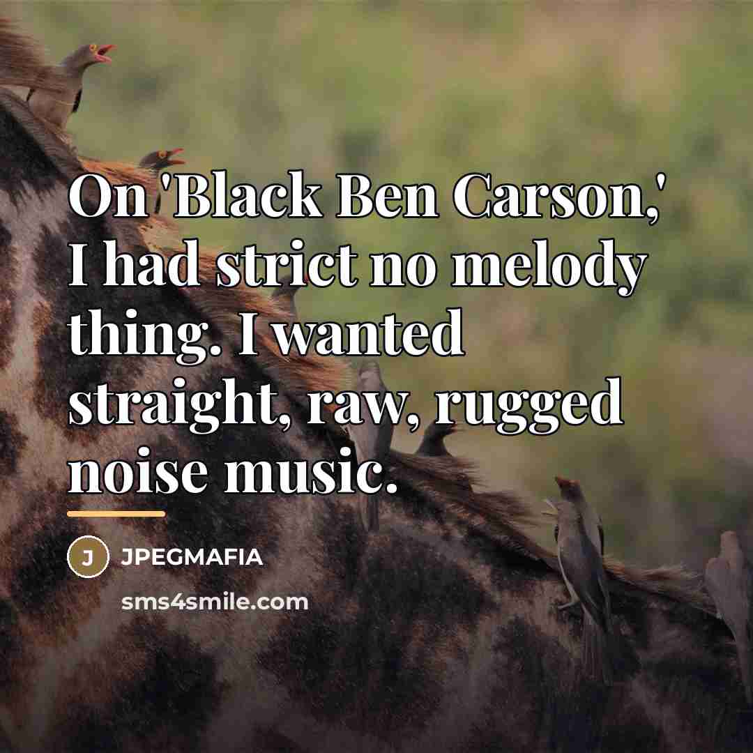 “On 'Black Ben Carson,' I had strict no melody thing.…” quote by JPEGMAFIA