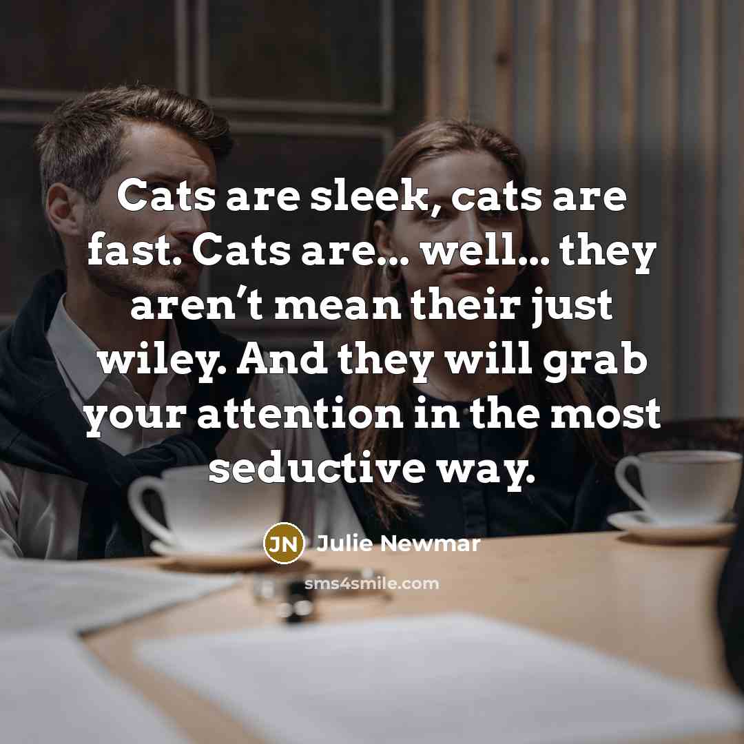 “Cats are sleek, cats are fast. Cats are... well... they…” quote by Julie Newmar