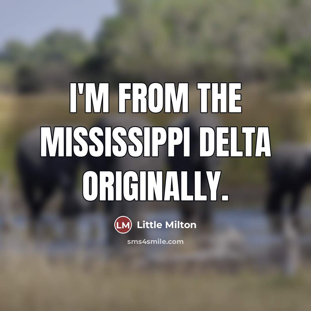 “I'm from the Mississippi delta originally.…” quote by Little Milton