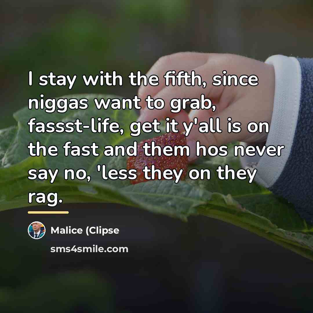 “I stay with the fifth, since niggas want to grab,…” quote by Malice (Clipse