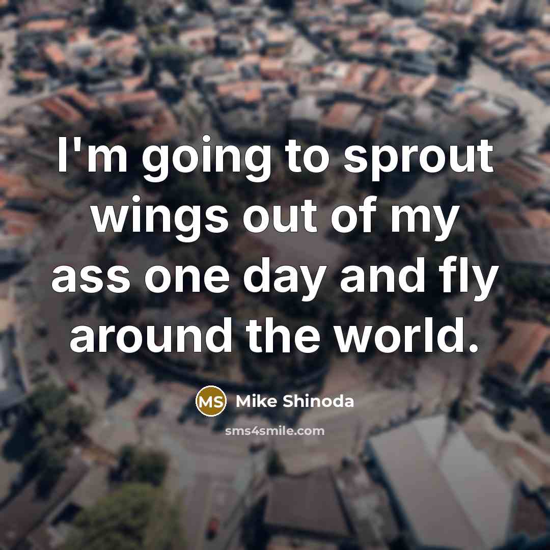 “I'm going to sprout wings out of my ass one…” quote by Mike Shinoda