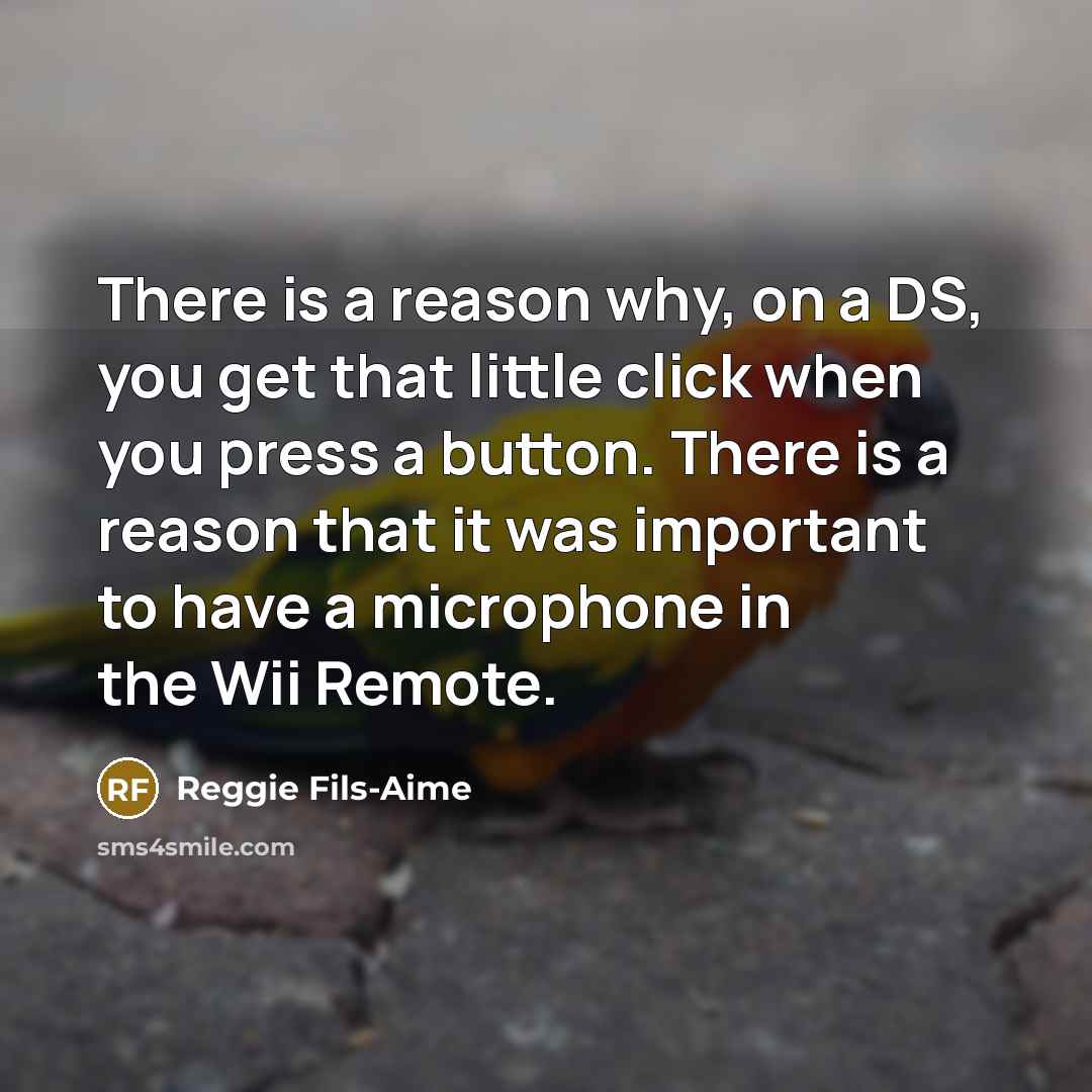 “There is a reason why, on a DS, you get…” quote by Reggie Fils-Aime