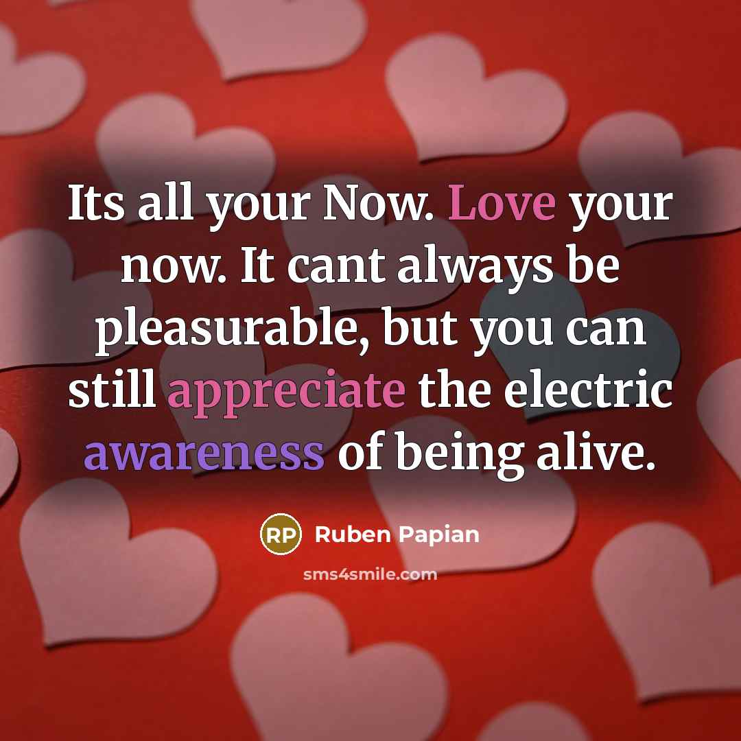 “Its all your Now. Love your now. It cant always be pleasurable, but you can still appreciate the electric awareness of being alive.” quote by Ruben Papian