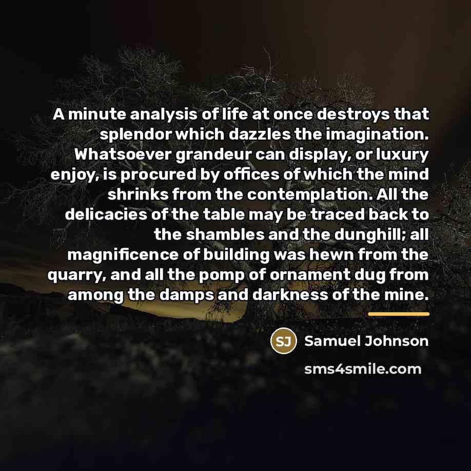 “A minute analysis of life at once destroys that splendor…” quote by Samuel Johnson