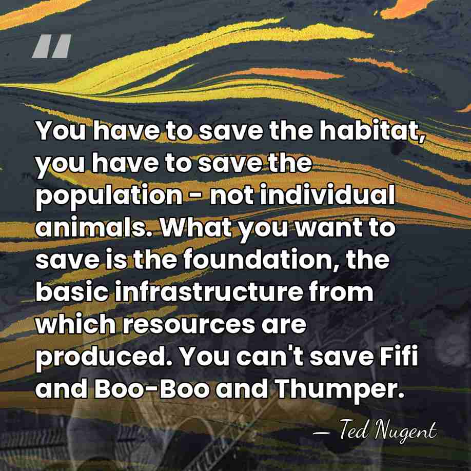 You have to save the habitat, you have to save the population&hellip; - Ted Nugent