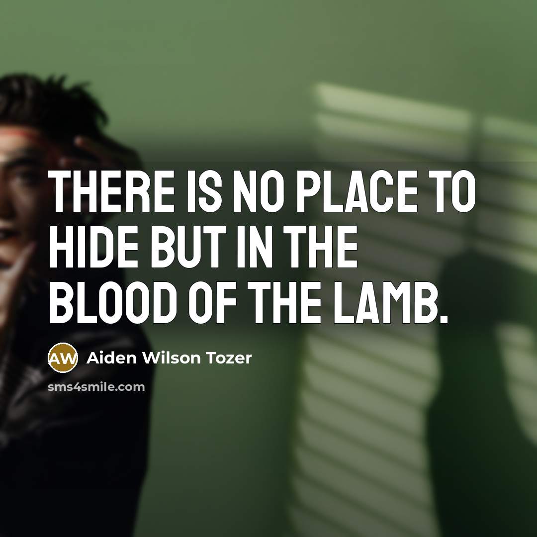 “There is no place to hide but in the blood…” quote by Aiden Wilson Tozer