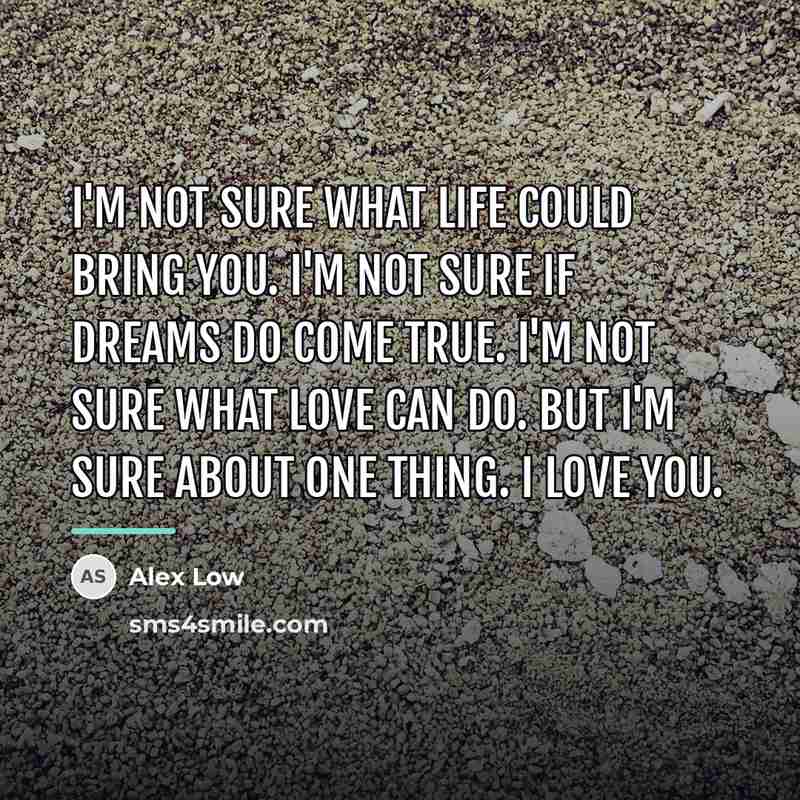 “I'm not sure what life could bring you. I'm not…” quote by Alex Low