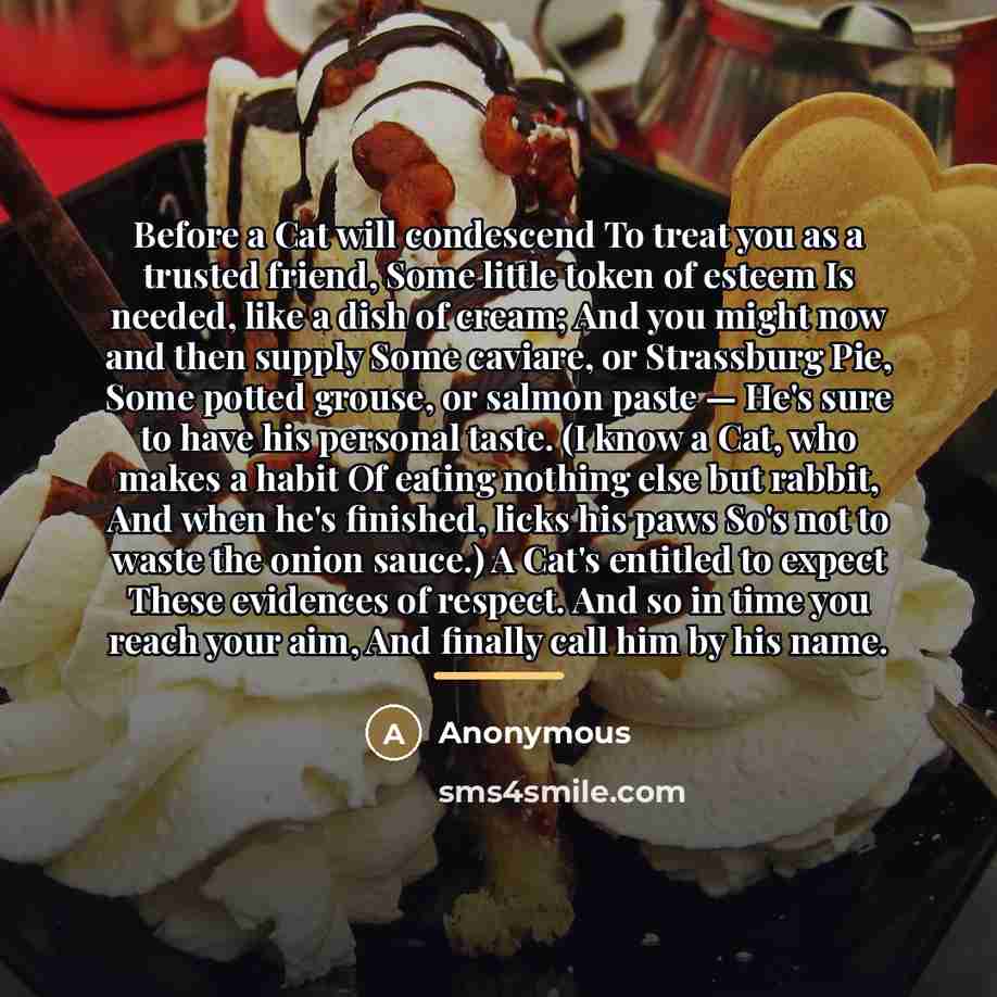 “Before a Cat will condescend To treat you as a…” quote by Anonymous
