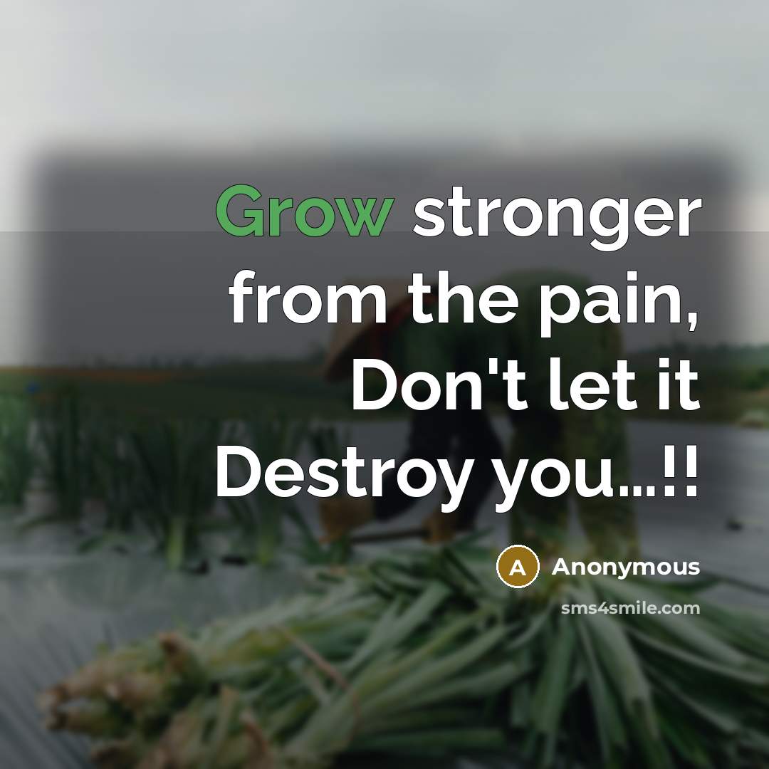 “Grow stronger from the pain, Don't let it Destroy you.....!!…” quote by Anonymous