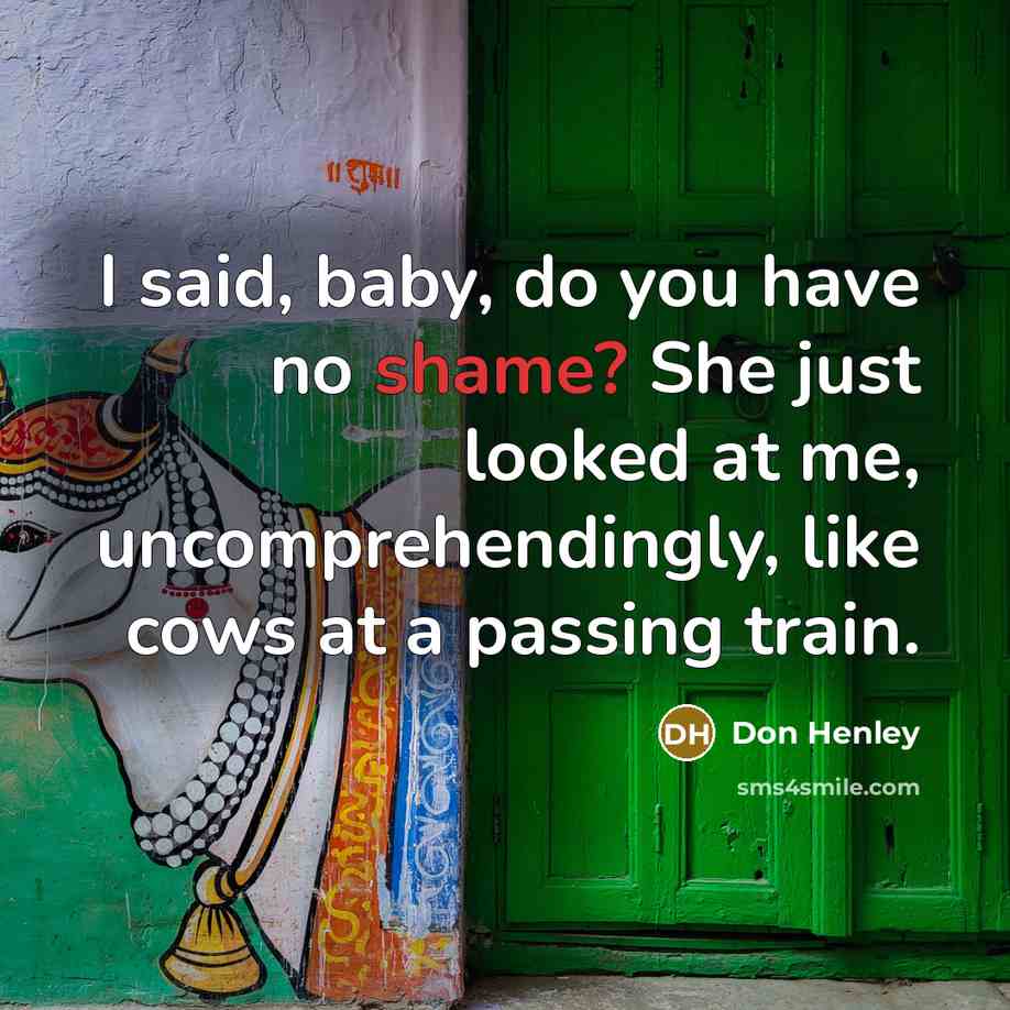 “I said, baby, do you have no shame? She just…” quote by Don Henley