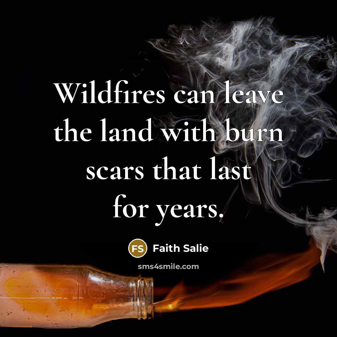 “Wildfires can leave the land with burn scars that last…” quote by Faith Salie