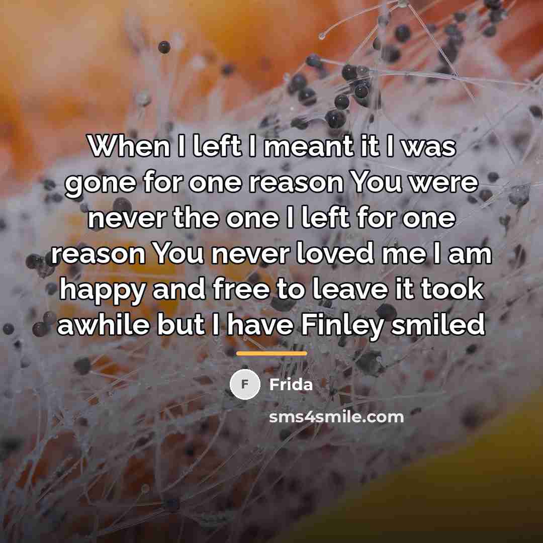 “When I left I meant it I was gone for…” quote by Frida