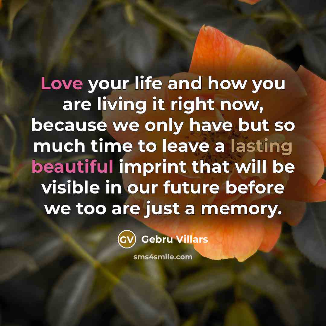 “Love your life and how you are living it right…” quote by Gebru Villars