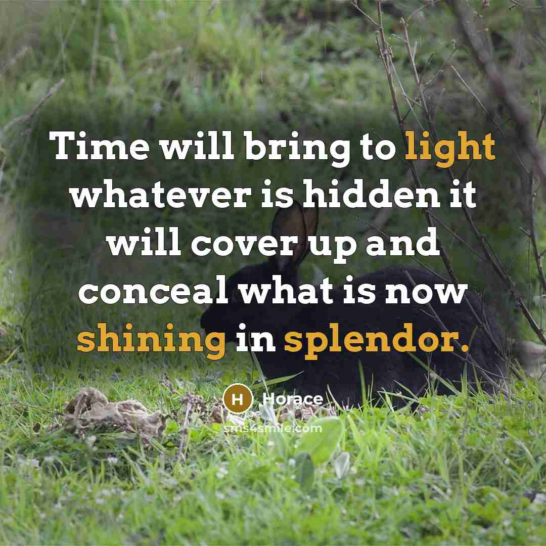 “Time will bring to light whatever is hidden it will cover up and conceal what is now shining in splendor.” quote by Horace