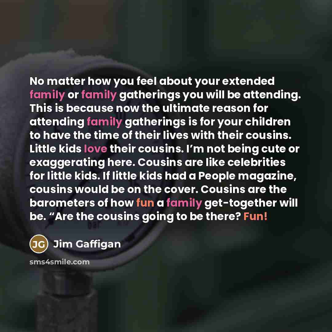 “No matter how you feel about your extended family or…” quote by Jim Gaffigan
