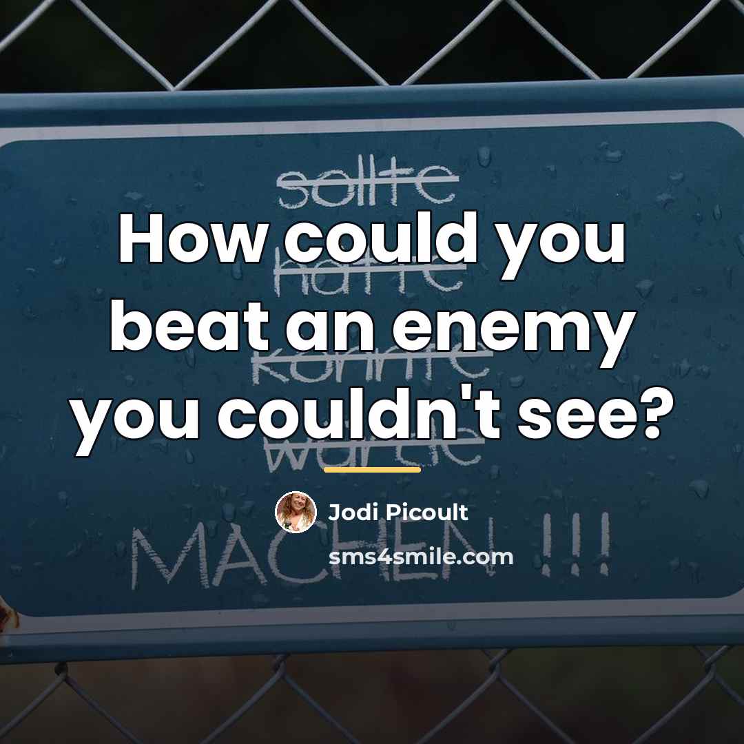 “How could you beat an enemy you couldn't see?…” quote by Jodi Picoult