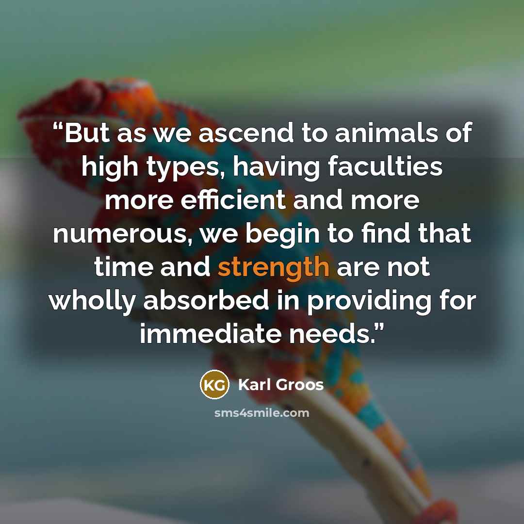 “But as we ascend to animals of high types, having faculties more efficient and more numerous, we begin to find that time and strength are not wholly absorbed in providing for immediate needs.” quote by Karl Groos