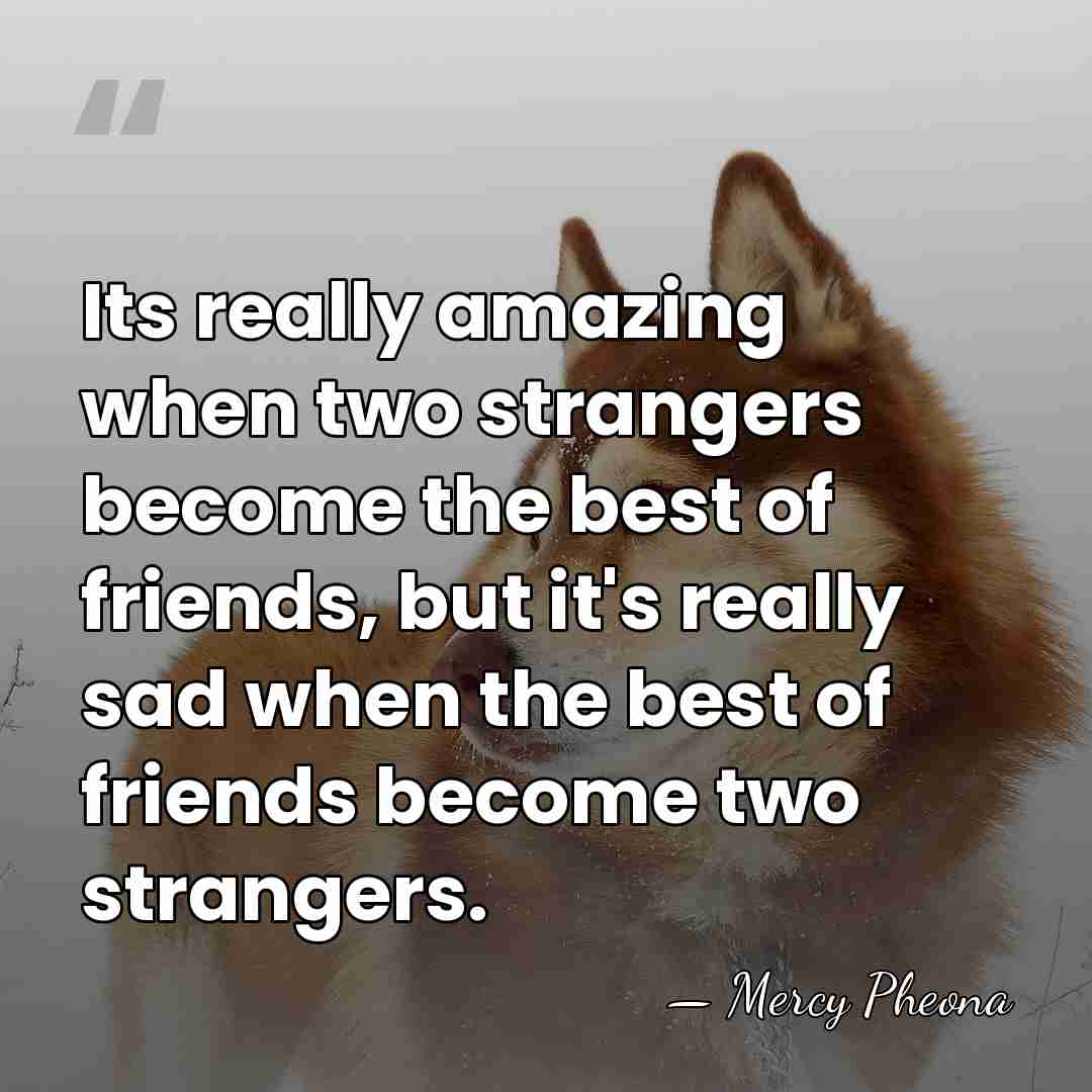 Its really amazing when two strangers become the best of friends, but&hellip; - Mercy Pheona