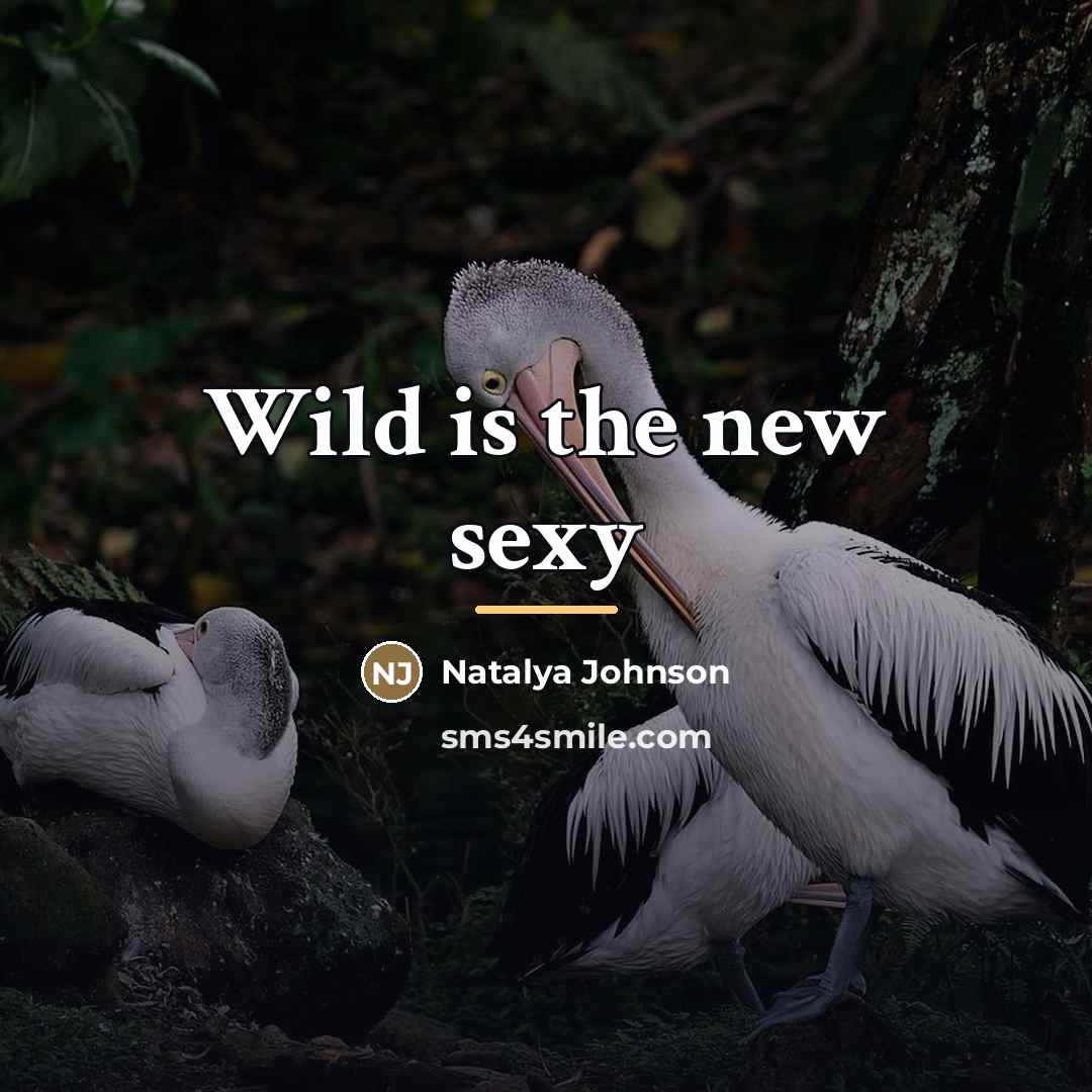 “Wild is the new sexy…” quote by Natalya Johnson