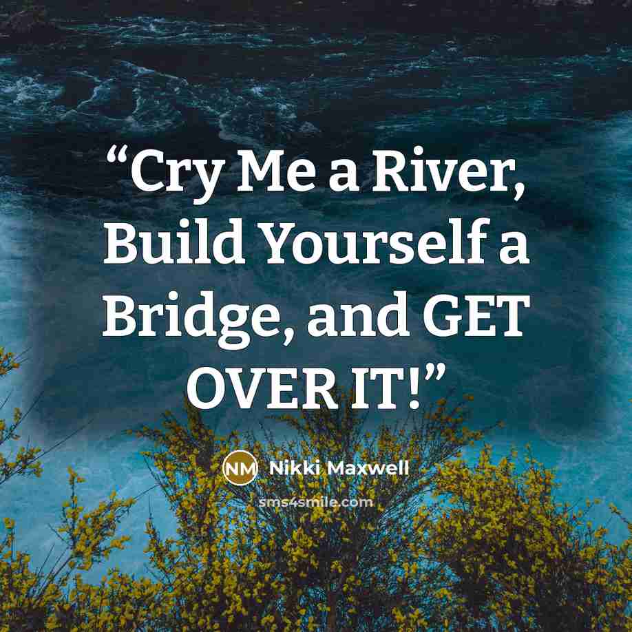 “Cry Me a River, Build Yourself a Bridge, and GET OVER IT!” quote by Nikki Maxwell