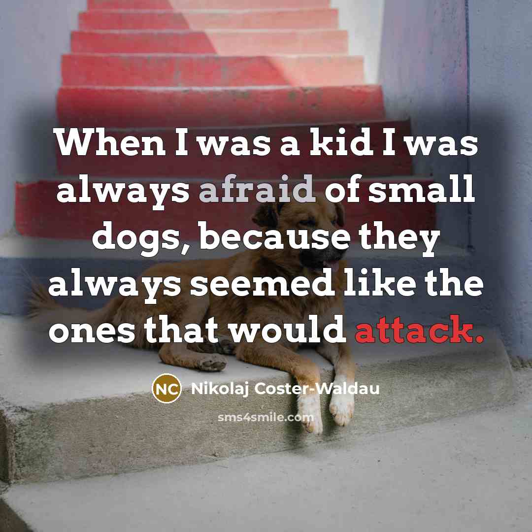 “When I was a kid I was always afraid of small dogs, because they always seemed like the ones that would attack.” quote by Nikolaj Coster-Waldau
