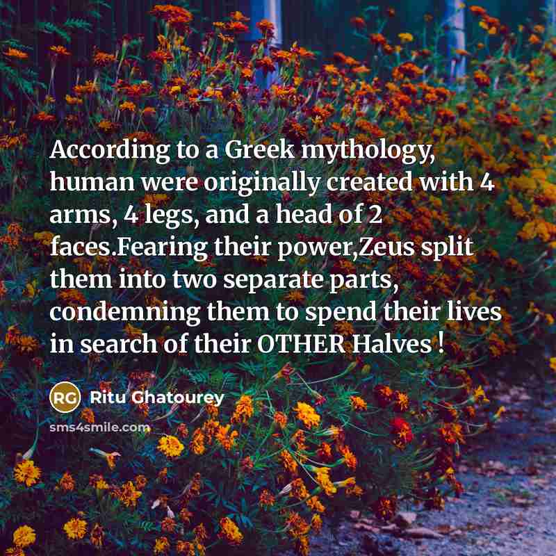 “According to a Greek mythology, human were originally created with…” quote by Ritu Ghatourey